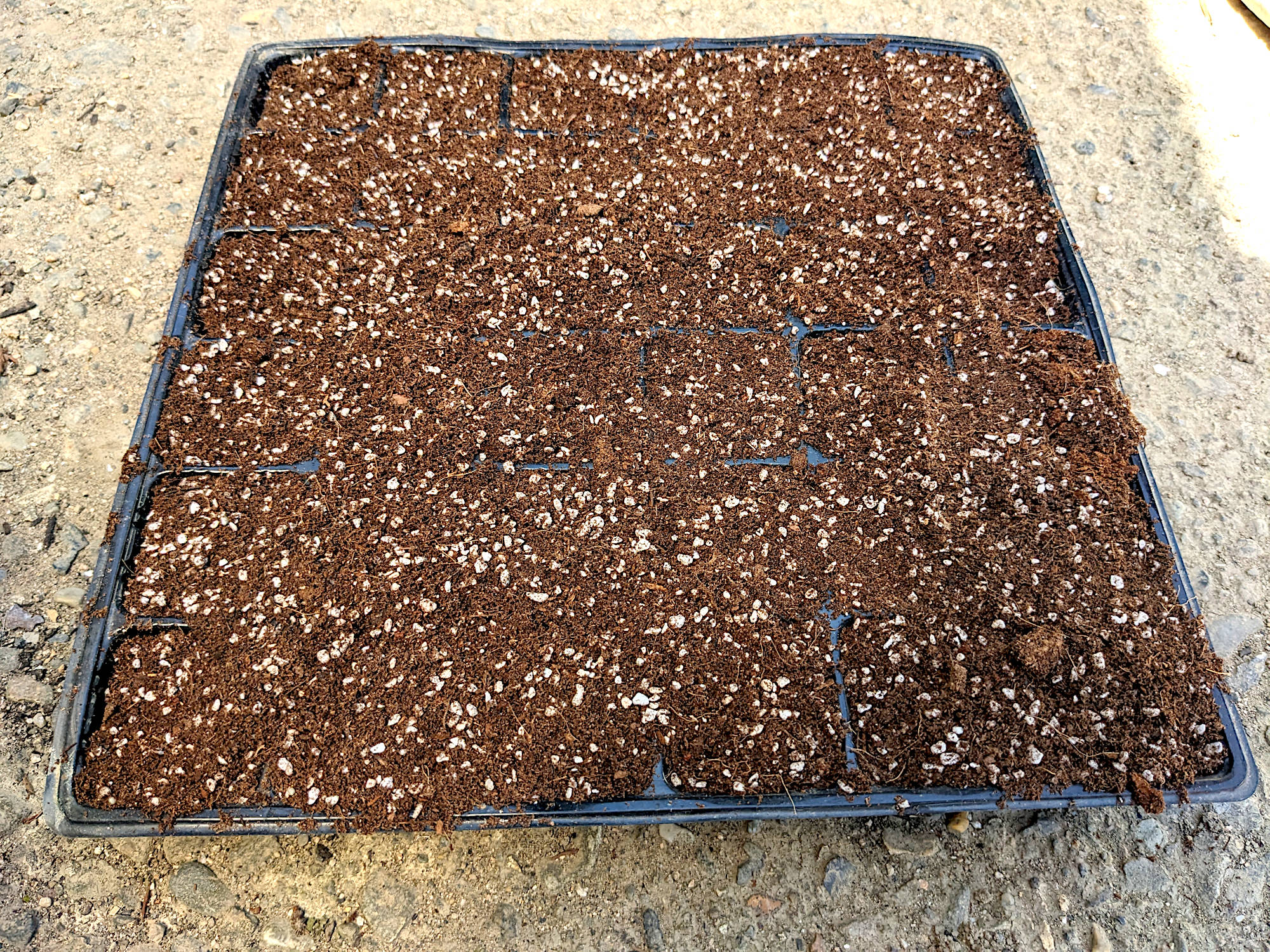 土を敷き詰めた連結ポット