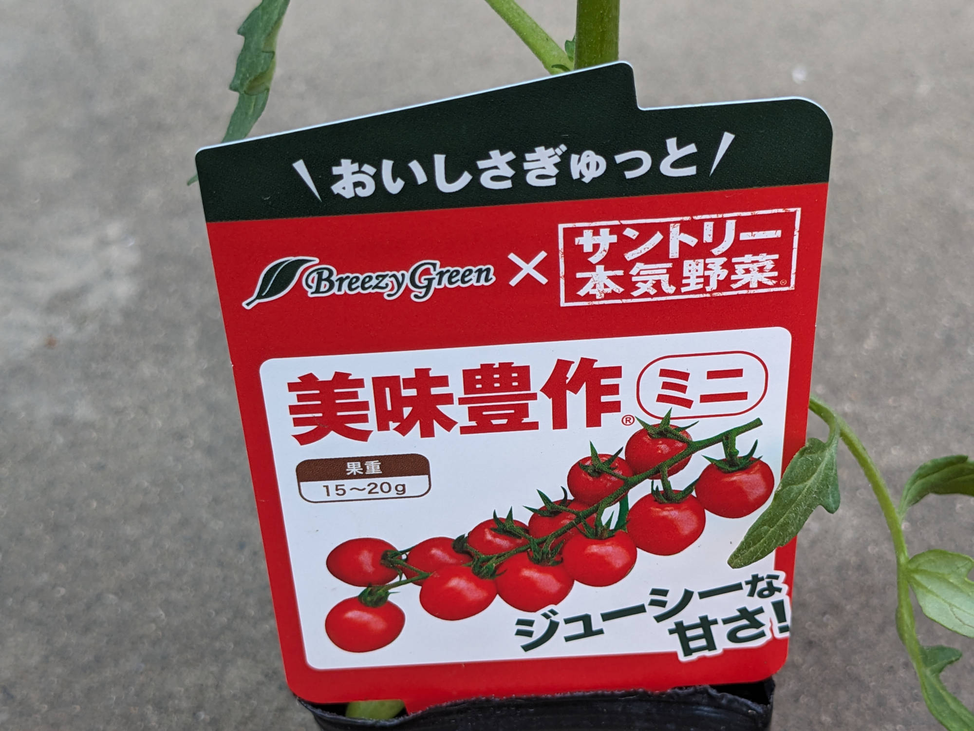 サントリー「美味豊作」