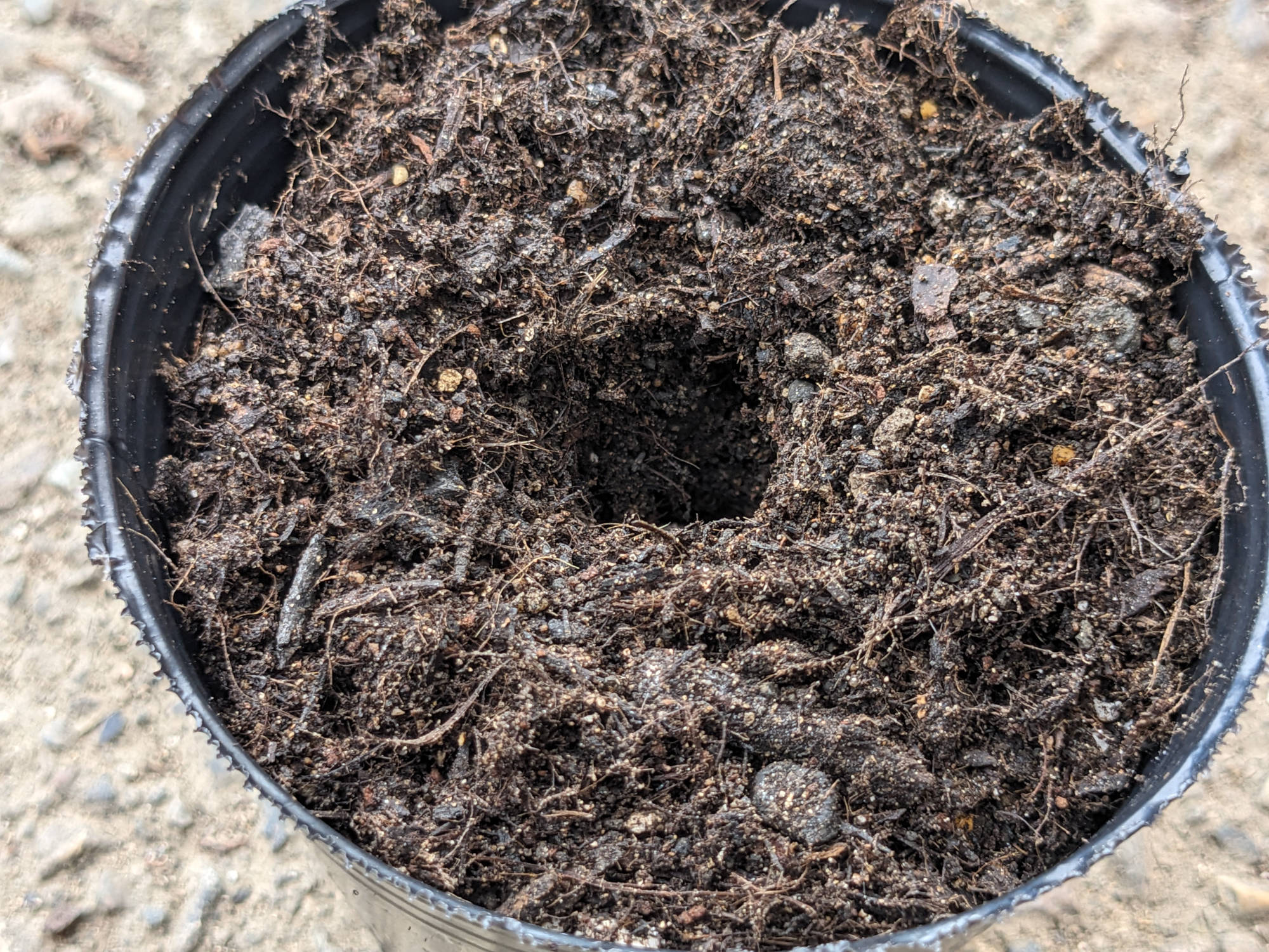 土を敷き詰めたポット