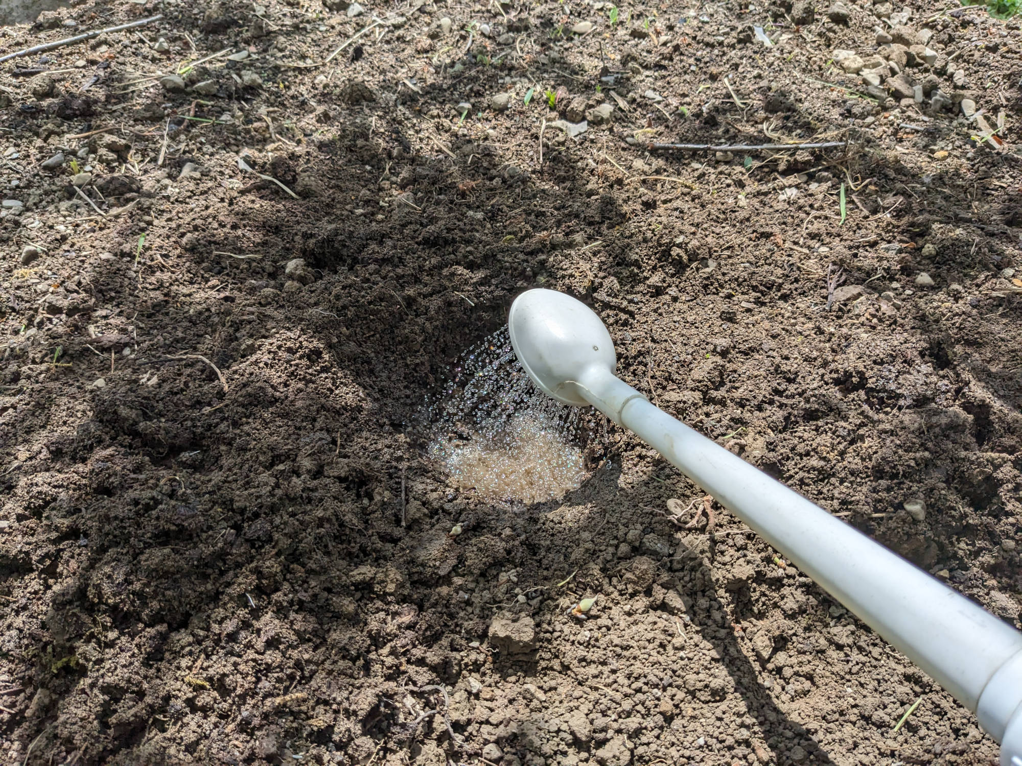 穴に水を入れる