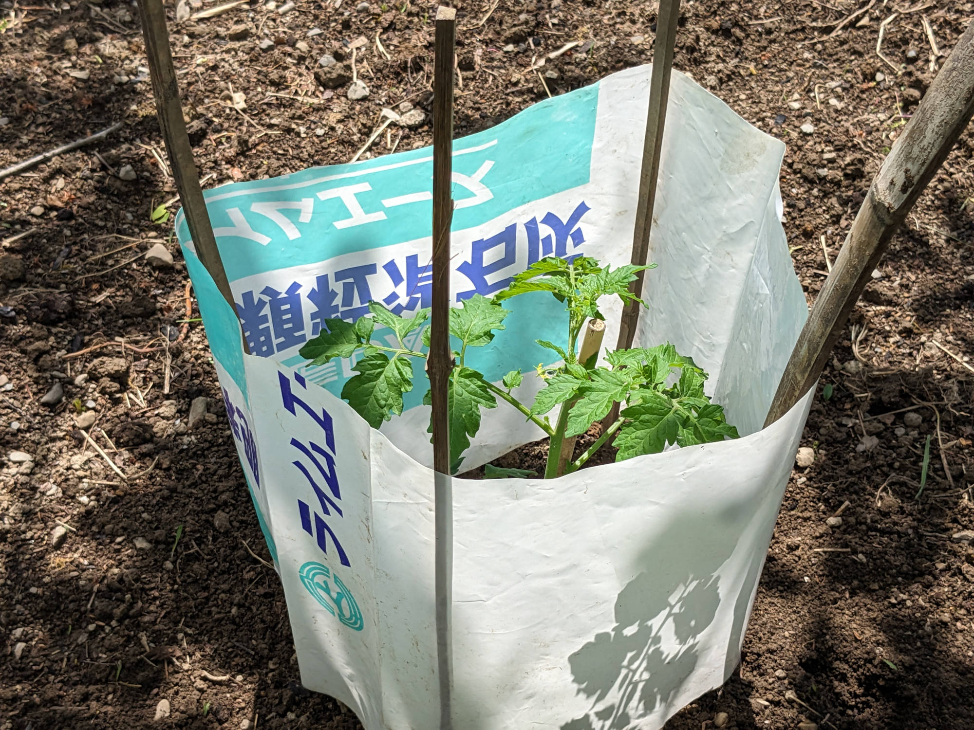 風よけの設定完了