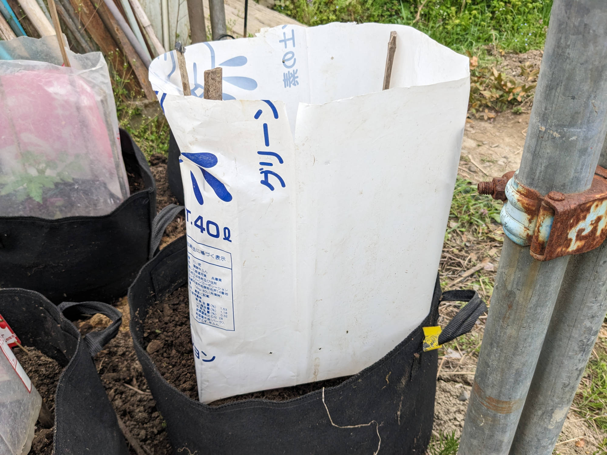 苗の周りに風よけ