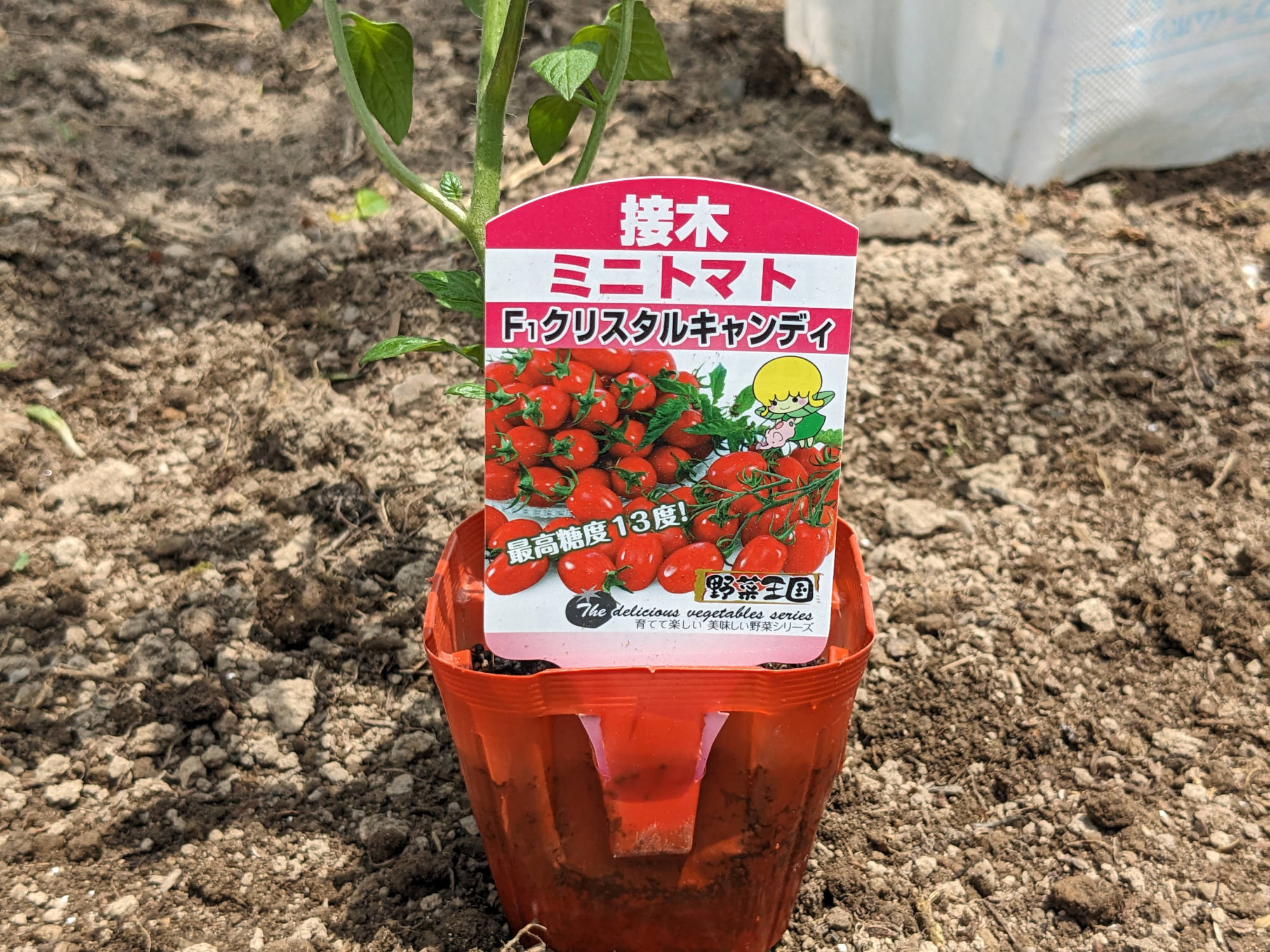 クリスタルキャンディのラベル