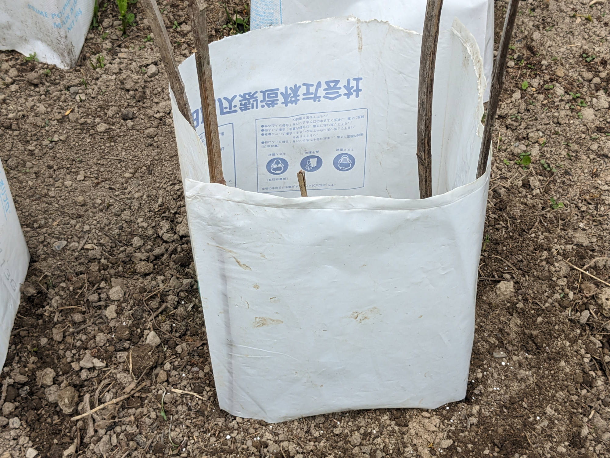 「こくうまチェリー」の風よけを設定