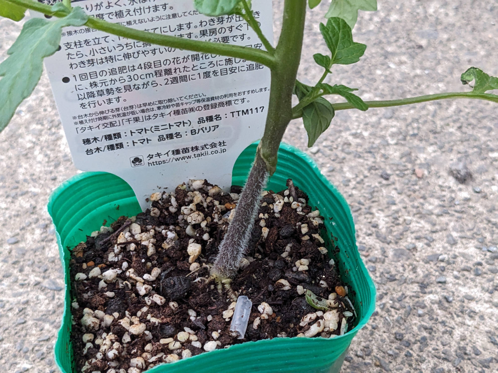 継ぎ木クリップ