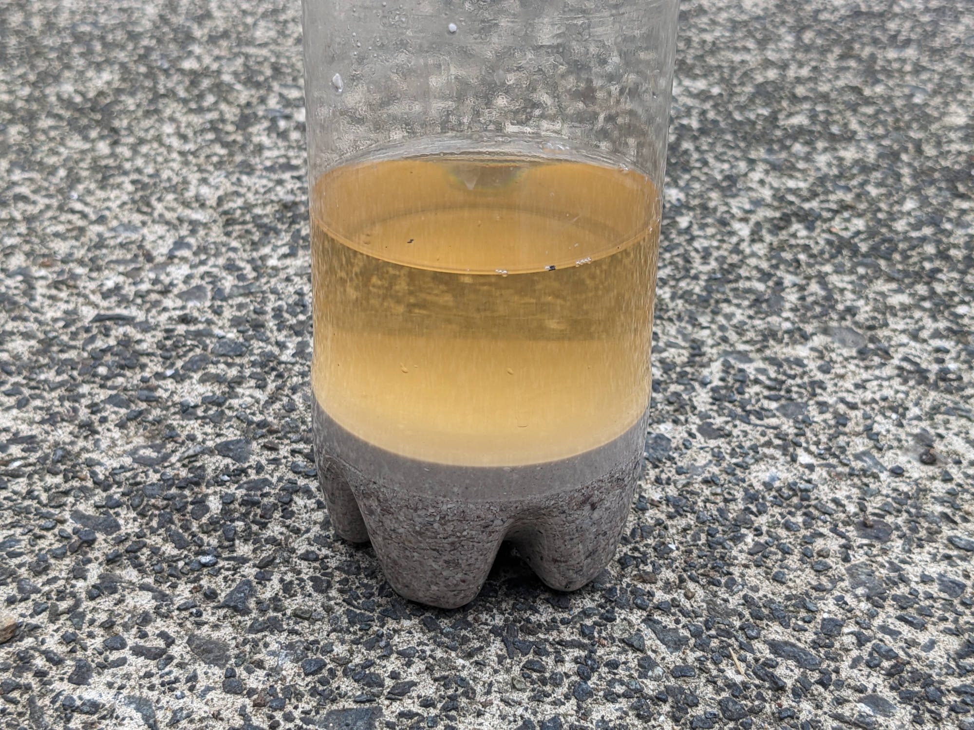 1日置いた酢酸カルシウム